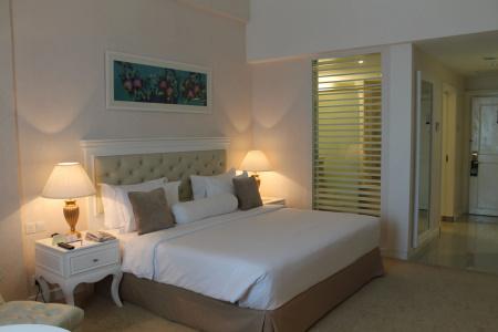 Royale Chulan Damansara - 17