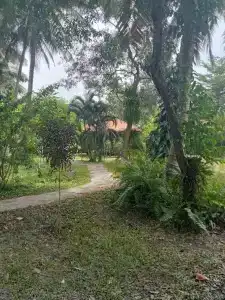 Ban Ban Bangalow - 12