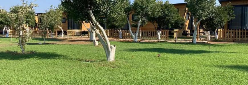 Gaia Tiny Houses Butik - 6