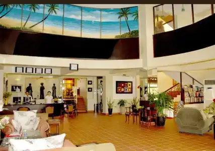 The Palm - 21