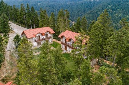 Foleya Mountain Resort & Villas - 20