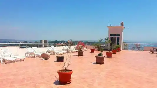 Rosa Negra - 74