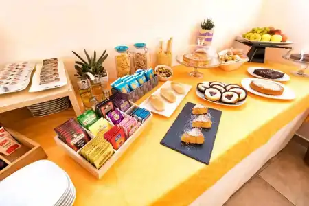 Garden - 17