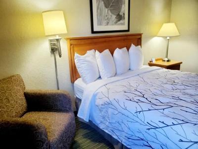 Days Inn and Suites by Wyndham Downtown-University - 25