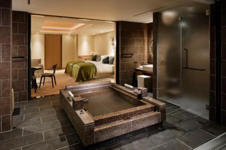 The Hiramatsus & Resorts Sengokuhara Hakone - 44