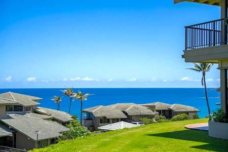 Kapalua Villas Maui - 159
