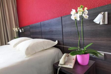 Best Western Alexander Park Chambéry - 37