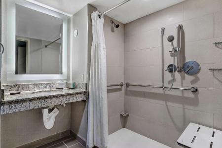 Embassy Suites by Hilton Seattle - 8