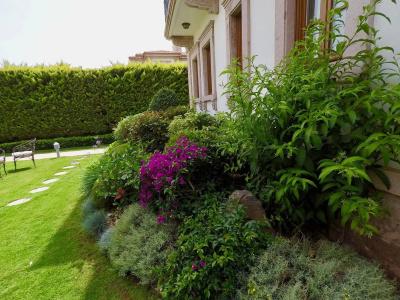 Tas Bahce Cunda - 11