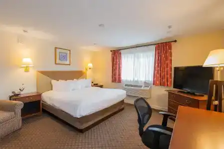 Senator Inn & Spa - 50