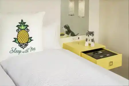 Staypineapple, A Delightful, South End - 37