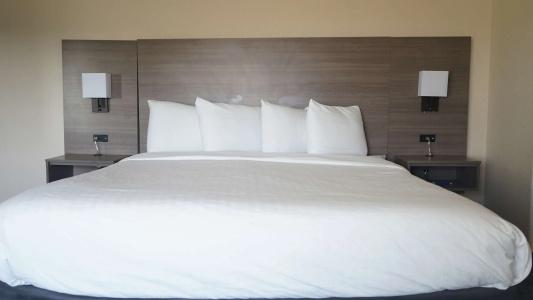 Arbor Inn and Suites - 54