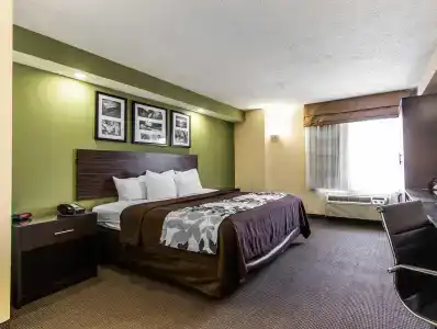 Quality Inn - 50