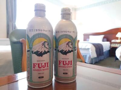 Mount Fuji - 34