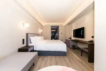 Mercure Xi'an Qujiang - 55