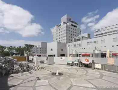 Nikko Tsukuba - 24