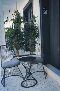 Casamia - 51