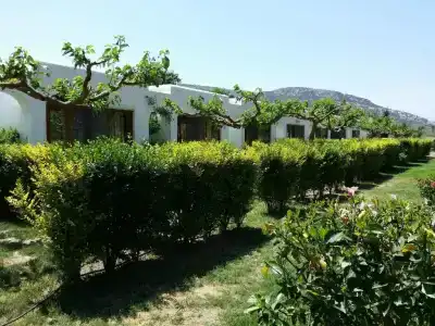 Valley Village - 59