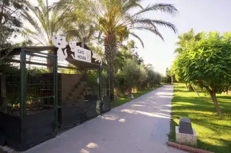 Sherwood Exclusive - 1