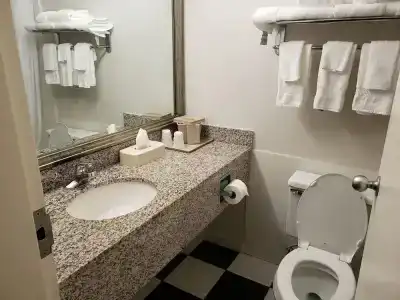 Comfort Inn - 55