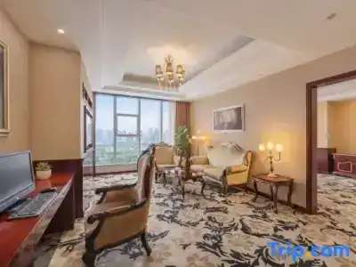 Sofis Jinyuan - 100