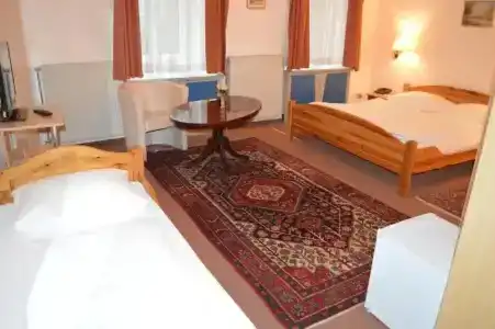 Pension Walzerstadt - 49
