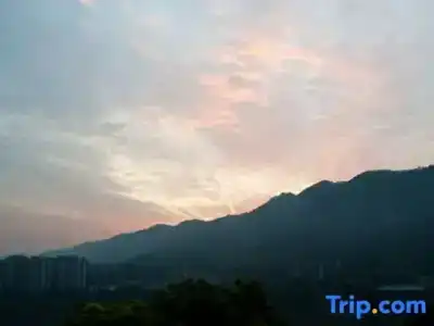Wuyu (Chongqing Jinyun Mountain, Southwest University) - 30