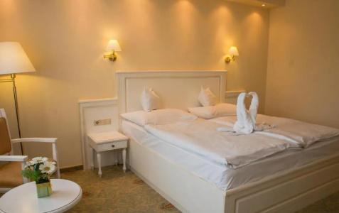 Calimbra Wellness Superior - 75