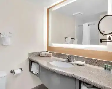 Best Western Orlando Gateway - 79