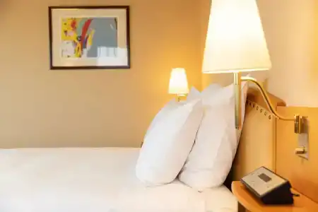 Ana Crowne Plaza Toyama, An Ihg - 99