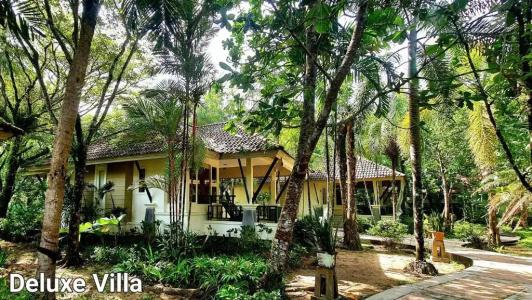 Baan Khaolak Beach Resort - Sha Plus - 221