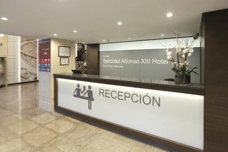 Sercotel Alfonso Xiii - 30