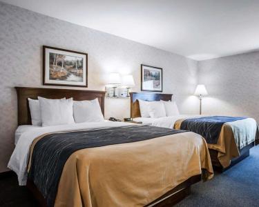 Comfort Inn - 37