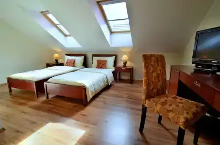 Eco Friendly Dália - 45