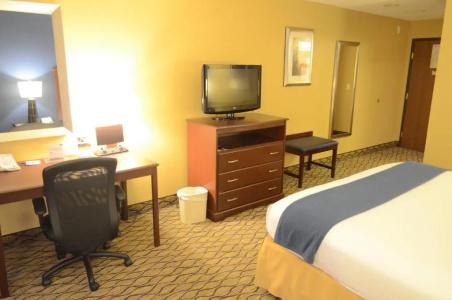 Holiday Inn Express & Suites Houston-Downtown Convention Center, An Ihg - 40