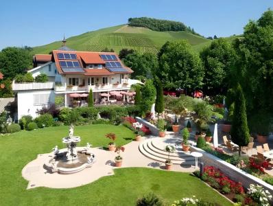 Rebstock Durbach - 13