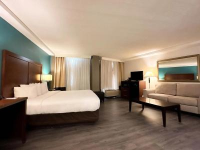Comfort Inn Maingate - 2