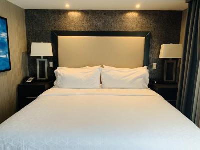 Holiday Inn Express and Suites, an IHG - 4
