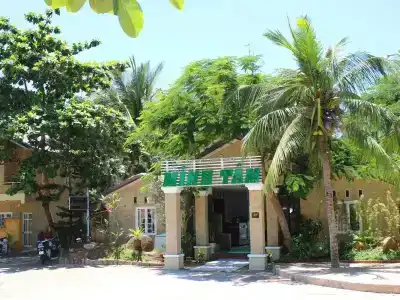 Minh Tam - 15