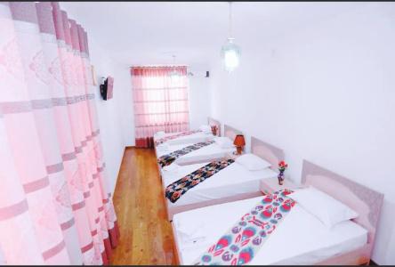 Anis-Pari - 16