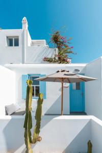 La Stella Stay - 25