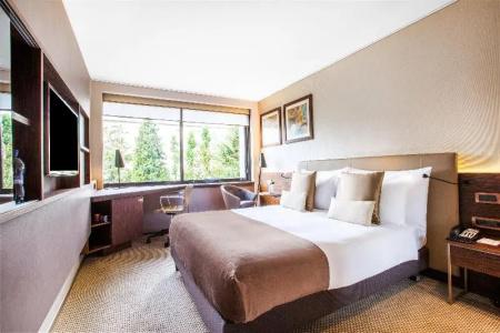 Crowne Plaza Geneva, An Ihg - 50