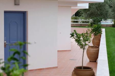 Ionian Theoxenia - 29