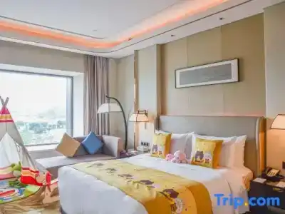 Wyndham Grand Plaza Royale Chongqing - 30