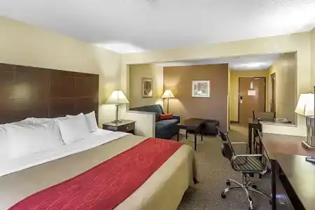 Comfort Inn & Suites - 57