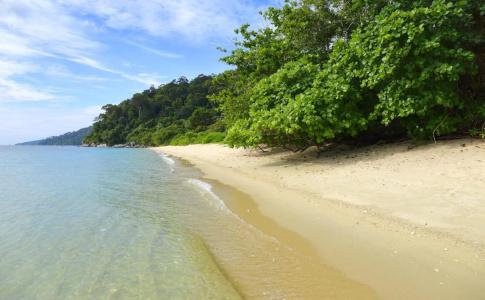 Lipe Inn - 10