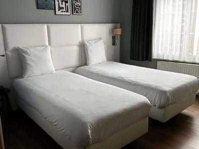 Hôtel Calm Lille - 17