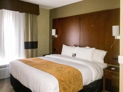Comfort Suites - University - 6