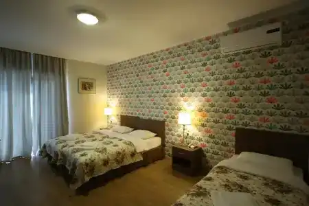 Martvili Palace - 8