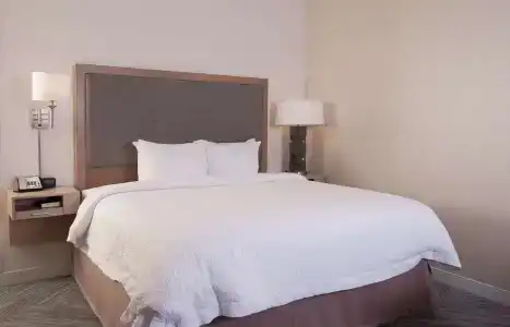 Hampton Inn & Suites by Hilton-Washington Rd - 5